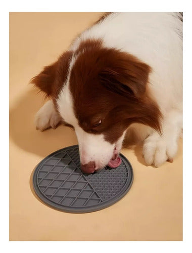 PLATO LICK MAT