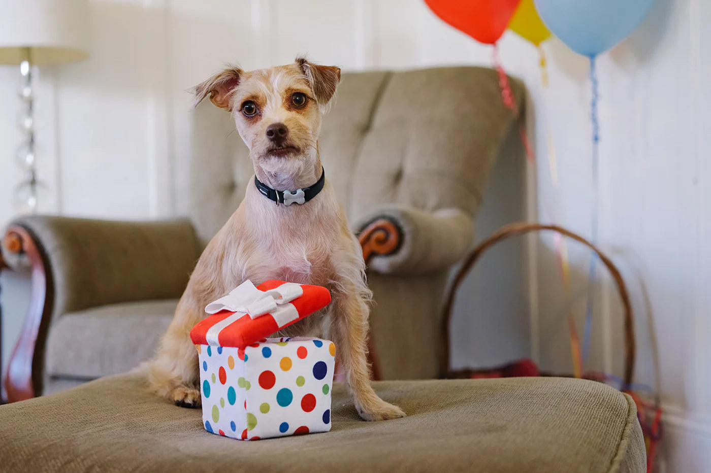 PLAY JUGUETE PARTY TIME CANINE CROWN