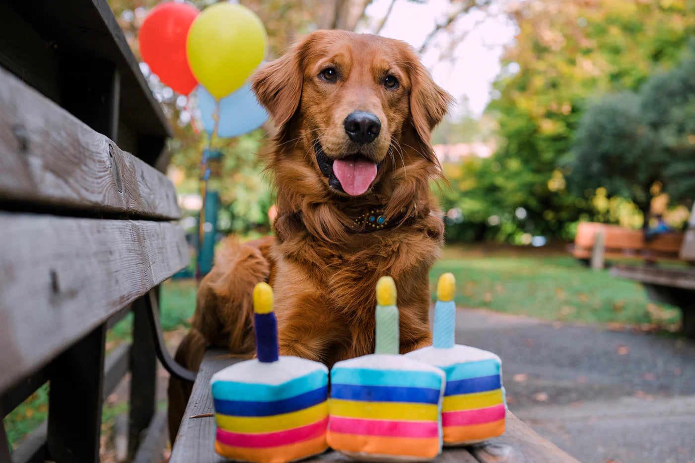 PLAY JUGUETE PARTY TIME BONE APPETIT CAKE