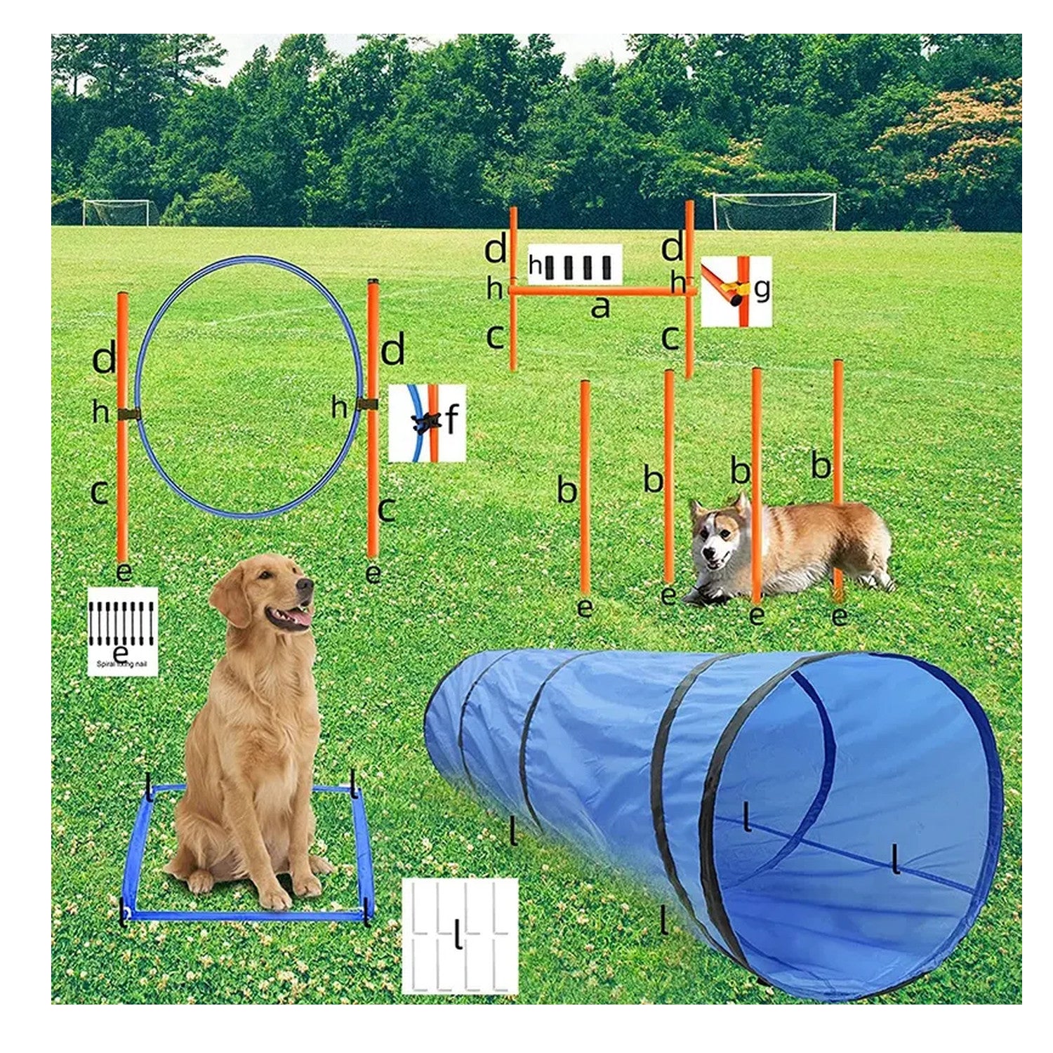 KIT AGILITY PARA PERROS 43 PCS